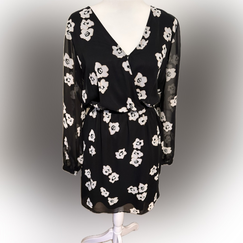 Women’s long sleeve express dress.